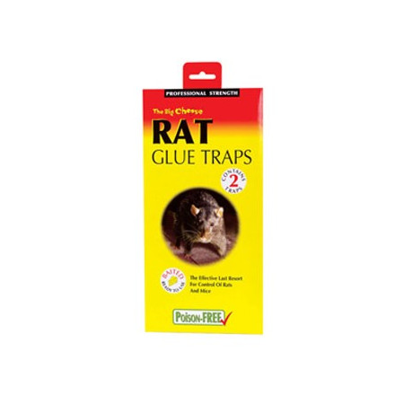 insuficiente O después Buzo Pegamento para trampas de ratas, ratones, insectos y otros parásitos