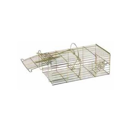 metal cage for capturing several mice