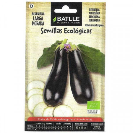 Eggplant longue pourpre eco